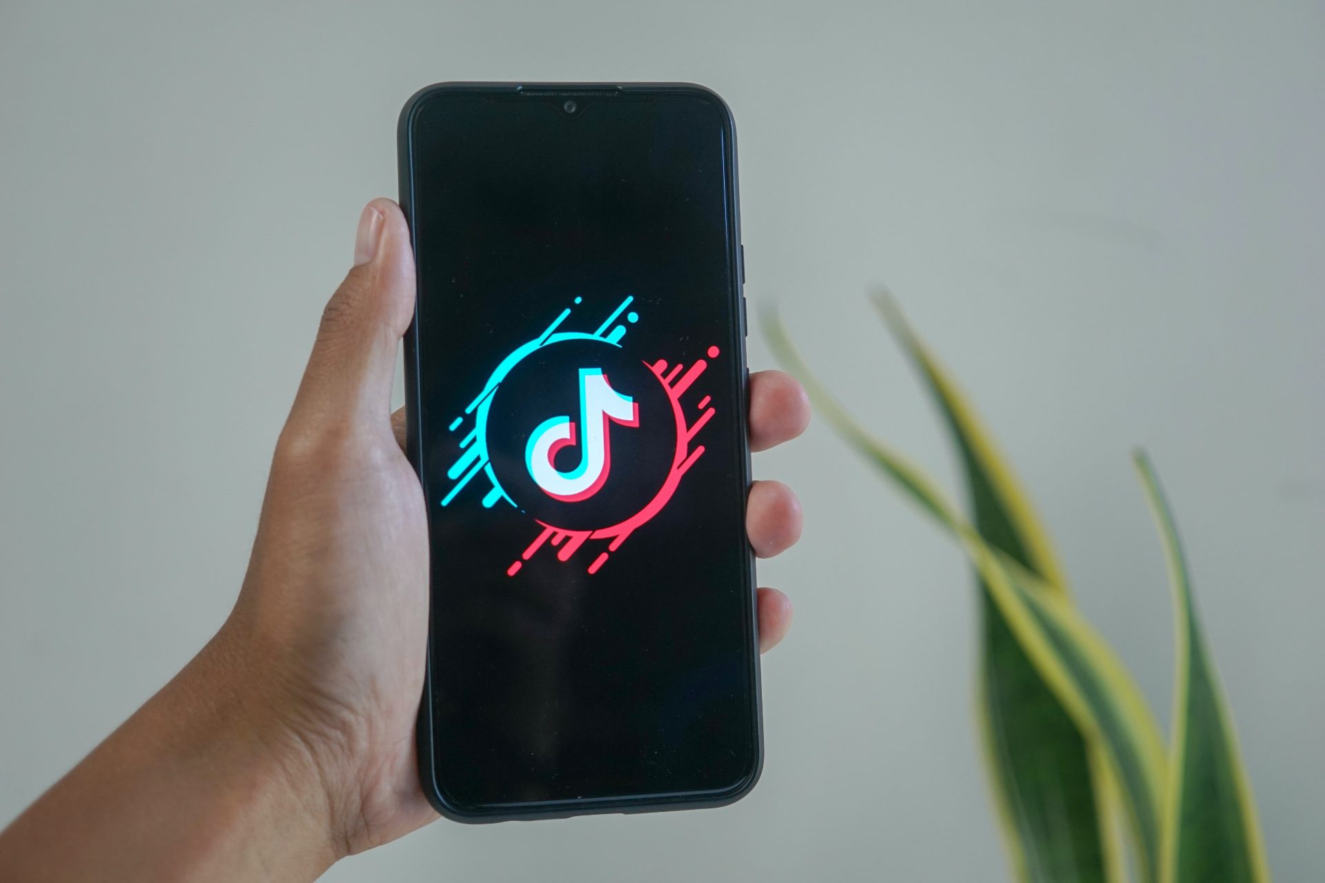 Campañas publicitarias en Tik Tok